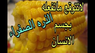 فوائد الذره الصفراء المسلوقه الغذائيه والعلاجيه فوائد فير متوقعه لجسم الانسان وهل تسبب السمنه ام لا