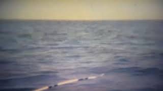 Deep sea fishing near Myrtle Beach 1970s