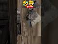 Granny Horror Funny House escape 😂 #gaming #horrorgaming #grannyfunny
