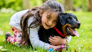 Best Dogs for Families with kids | Funny Pet Videos by Funny Pet Videos 16,456 views 2 years ago 7 minutes, 54 seconds