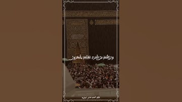محمد صالح أبوزيد | رَبَّنا إِنِي أَسْكَنْت من ذُرِّيتِي بِواد غَيْر ذِي زَرْع | سورة إبراهيم (37-41)