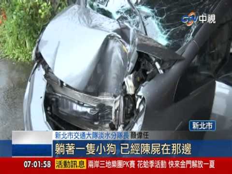 【中視新聞】疑愛犬亂竄害撞電桿 女駕駛命危    20140617