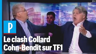 « Ordure ! » : Gilbert Collard et Daniel Cohn-Bendit s'insultent en direct sur TF1