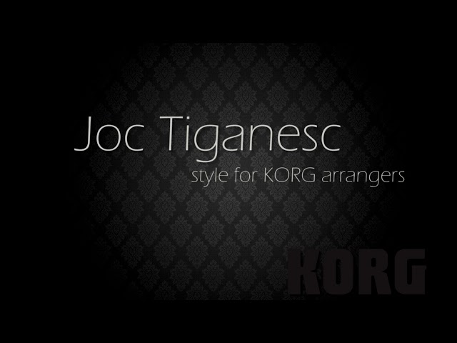 Joc Tiganesc style (KORG) class=