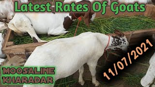 Latest Rates of Goats Moosa Lane Kharadar | بکروں کے تازہ ریٹس موسی لین کھارادر کراچی 11/7/2021