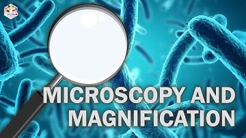 From Light to Electron: The Evolution of Microscopy and Magnification Power