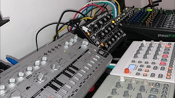 303 Day 2023 - Techno with Behringer TD-3, Moog Minitaur, Elektron Model:Samples