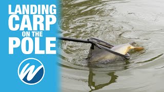 How To Play Carp On A Pole | Jamie Hughes | Match Fishing Tips