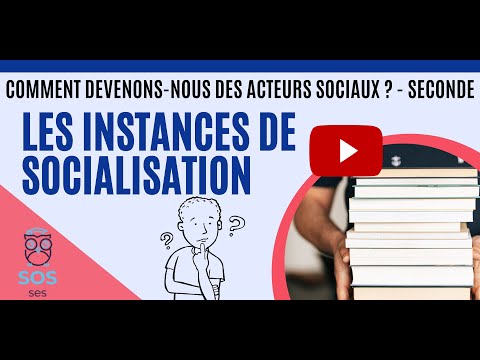 Socialization Instances - How Do We Become Social Actors? No. 2 [SES - 2nd]