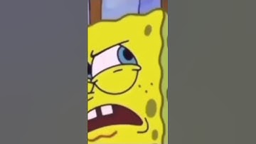 They Are Funny... #spongebob #patrick #memes #shorts #spongebobsquarepants
