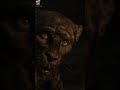 لمشاهدة باقي الفيلم اضغط متابعه Subscribe فيلم ملخص ملخص افلام تلخيص افلام تلخيص مسلسلات ملخص لمشاهدة باقي الفيلم اضغط متابعه Subscribe فيلم ملخص ملخص افلام تلخيص افلام تلخيص مسلسلات ملخص