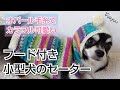 【棒針犬用セーター】可愛いフード付き小型犬のセーターをオパール毛糸で編んでみました✨簡単な編み図付き