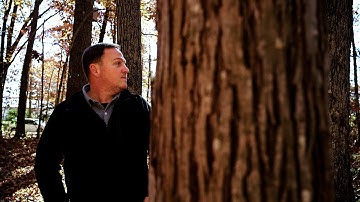 Tracking carbon sequestration in forests is more than meets the eye