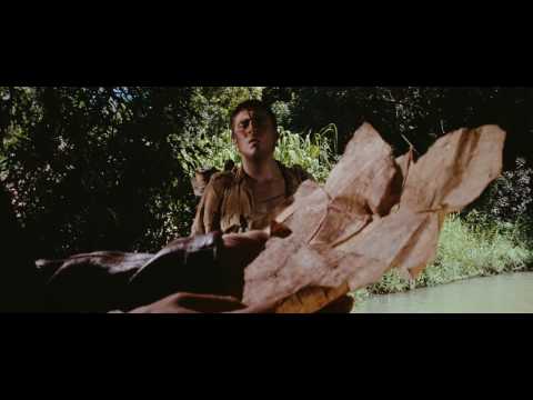 Raiders of the Lost Ark opening scene. The classic reveal of Indiana Jones [clip 1 of 3]