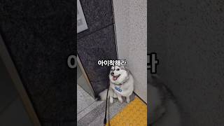폼스키 여름이