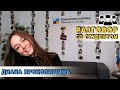 Разговор со студентом - Как успешно выучить немецкий и переехать во время короны?