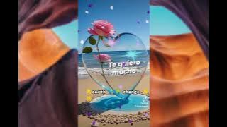 song#cover#musiclyrics #pubgmobile #haveitoldyoulatelythatiloveyou 