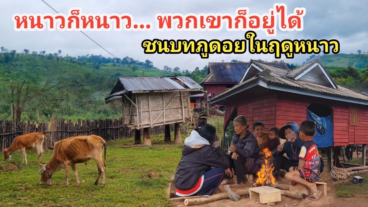 ถึงจะหนาวพวกเขาก็อยู่ได้ชนบทภูดอยในฤดูหนาว