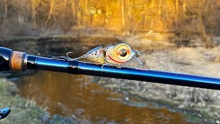 Tiny Cutthroat Trout Jointed CrankBait | One Day Build to Catch