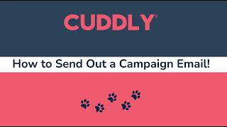 How to Send Out a Campaign Email by CUDDLY 13 views 2 days ago 3 minutes, 3 seconds