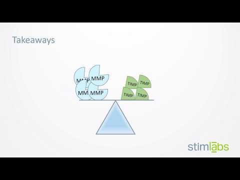 Video: Proinflammatoire Cytokines En Lipopolysacchariden Reguleren Omhoog MMP-3 En MMP-13 Productie In Aziatische Olifanten (Elephas Maximus) Chondrocyten: Verzwakking Door Anti-artritisc