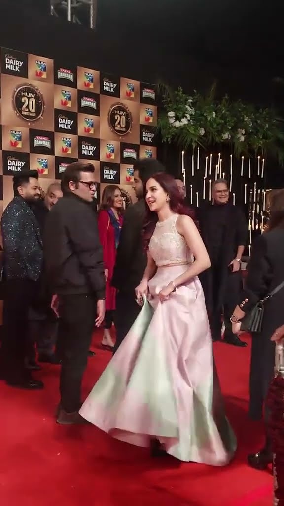 Anoushay Abbasi Graces HUM TV's 20th Anniversary Red Carpet | A Night to Remember! ✨?