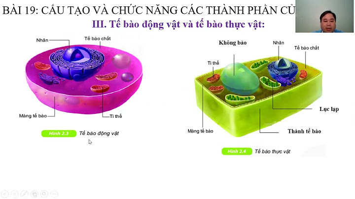 Thành phần nào có chức năng điều khiển tế bào năm 2024