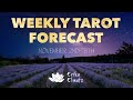 🔮 Weekly tarot forecast November 2nd-8th, 2020 🔮