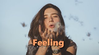 Taoufik - Feeling