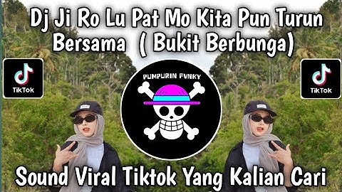 DJ BUKIT BERBUNGA VERSI DANGDUT NONIK APRILIA || JI RO LU PAT MO KITA PUN TURUN BERSAMA VIRAL TIKTOK