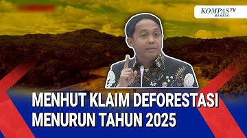 MENHUT KLAIM DEFORESTASI MENURUN TAHUN 2025