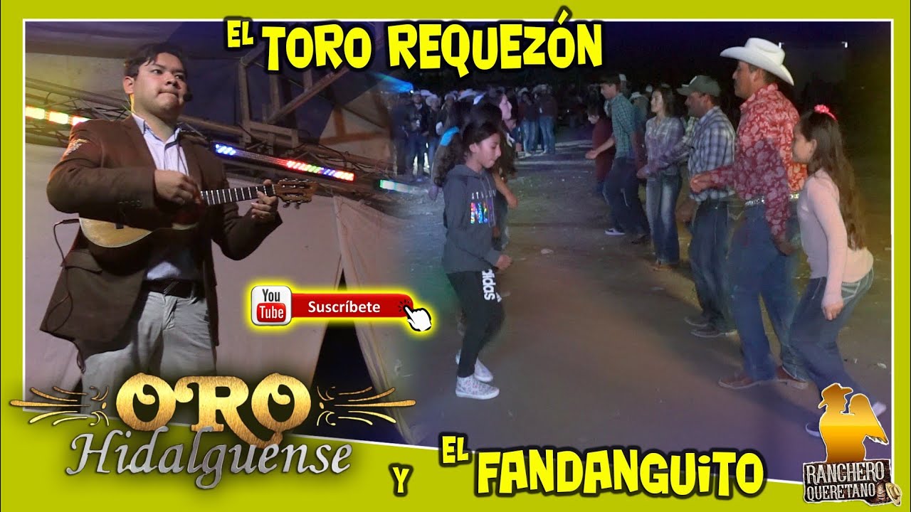 El toro requezón y el fandanguito-Oro Hidalguense