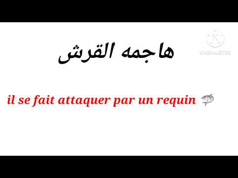 des expressions indispensables que les français utilisent tous les jours جمل جاهزة من الحياة اليومية