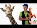 Palloncino A Forma Di Giraffa In Alluminio | 80 Cm | Per Feste Di Compleanno E Decorazioni | Gonfiabile Con Elio O Aria