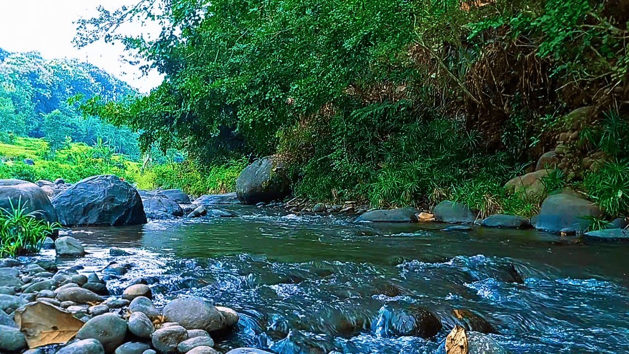 RELAXING SOUNDS FOR SLEEPING | BEAUTIFUL STREAM AND FOREST RIVER FOR RELAXATION & MEDITATION #b40