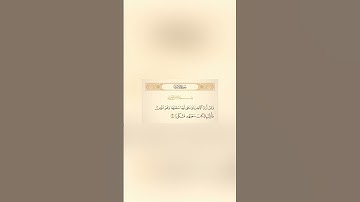 القارئ | عبدالبديع محمد غيلان 🎧🤍 [سورة الإسراء : الآية 19]