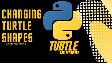 How to change Python Turtle Shapes | Python Turtle for Beginners
