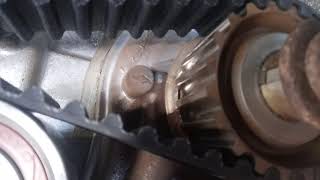 replace timing belt ng honda vamos po