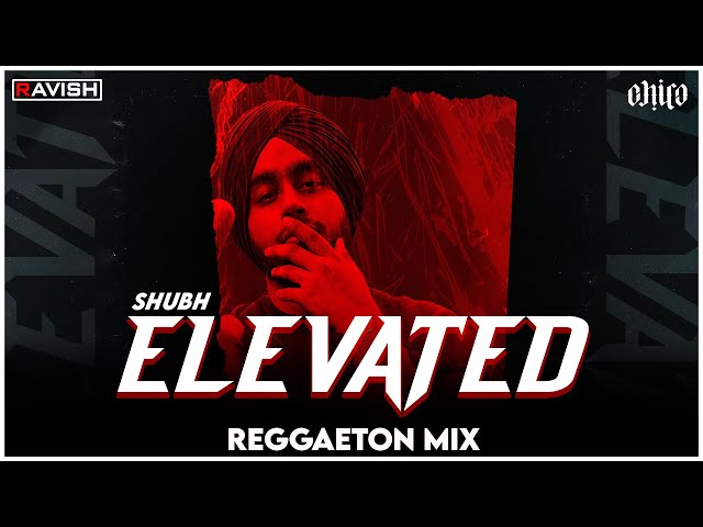 Elevated | Reggaeton Mix | Shubh | DJ Ravish & DJ Chico class=