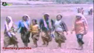 Forsadventure seri-1 ( sejarah Film Pengabdian bagian-1 )