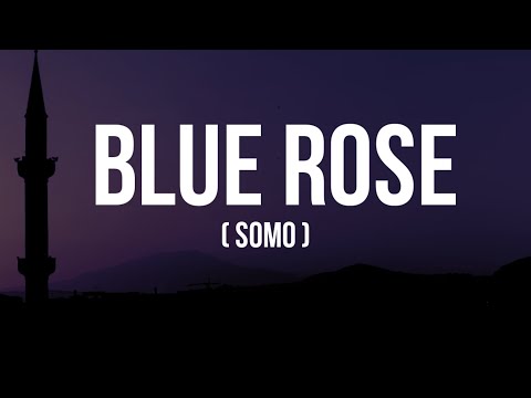 SoMo Blue Rose Lyrics