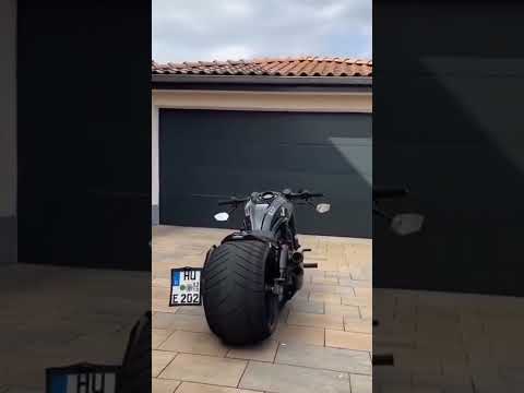 HARLEY DAVIDSON V ROD Shorts Trending