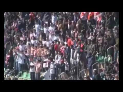 ქართული სპორტის ქომაგები