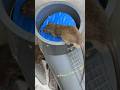 Best home mouse trap/mouse trap tips #rat #rattrap #mousetrap #shor
