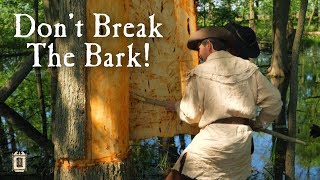 Building A Bark Canoe In 12 Hours? - Elm Bark Canoe Part 1
