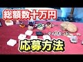 総額数十万円！宝石、鉱石、ルビー、サファイア、エメラルド、ダイヤモンド、巨大アンモナイト 、マンモス、灰重石、巨大アクアマリン原石、全てをプレゼント！
