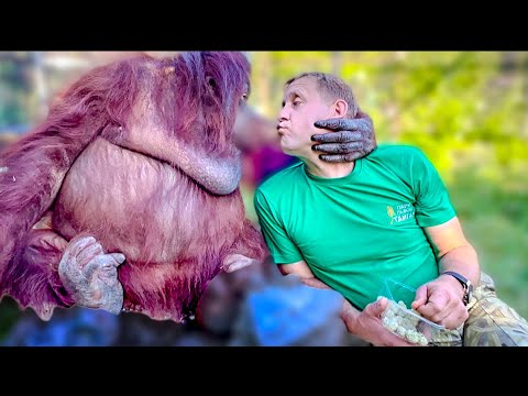 УНИКУМ! Вы только посмотрите, Дана ТОЧНО ПОНИМАЕТ человеческую речь и делает то, что ее просят)