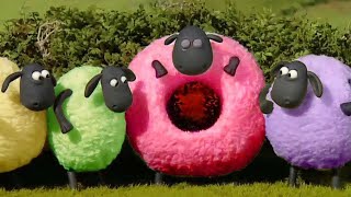 Qoyun Şon - Cizgi Filmi - Hd 1