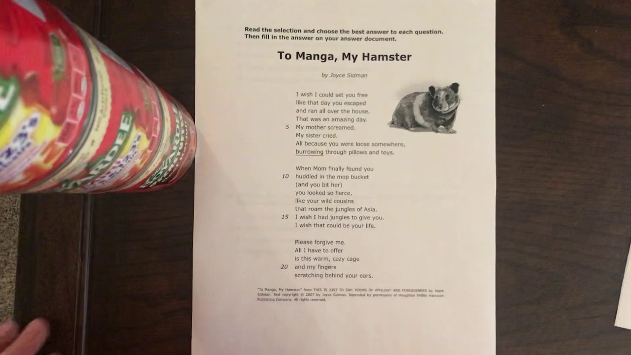 To Manga, My Hamster annotations - YouTube