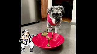 SUPERBOWL Sunday-Pluto Style!